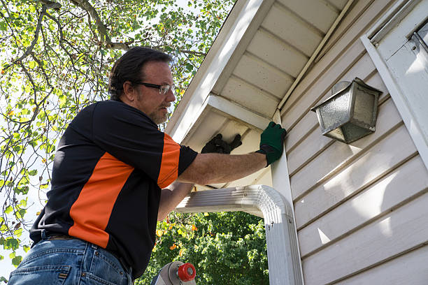 Affordable Siding Repair and Maintenance Services in Munhall, PA